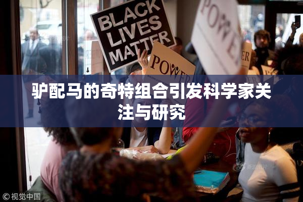驴配马的奇特组合引发科学家关注与研究
