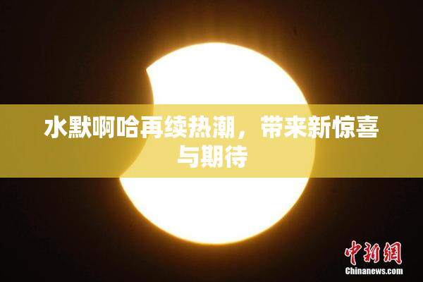 水默啊哈再续热潮，带来新惊喜与期待