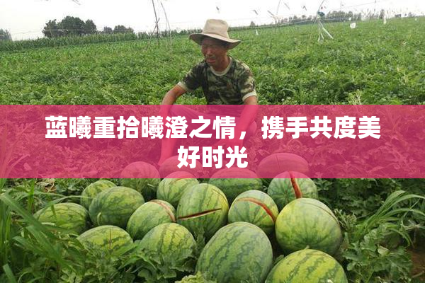 蓝曦重拾曦澄之情，携手共度美好时光