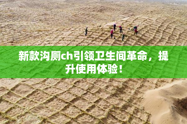 新款沟厕ch引领卫生间革命，提升使用体验！