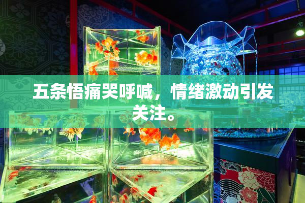 五条悟痛哭呼喊，情绪激动引发关注。