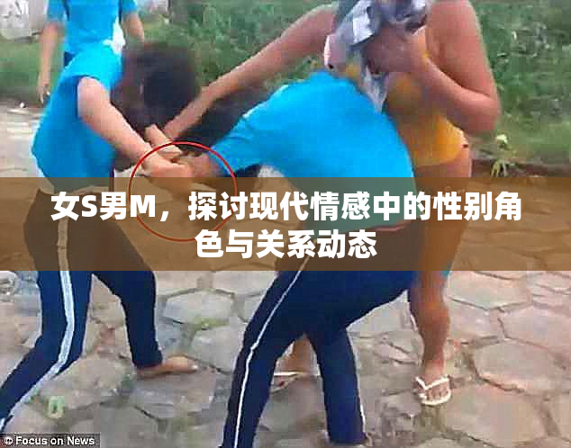 女S男M，探讨现代情感中的性别角色与关系动态