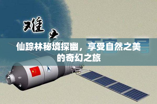 仙踪林秘境探幽，享受自然之美的奇幻之旅