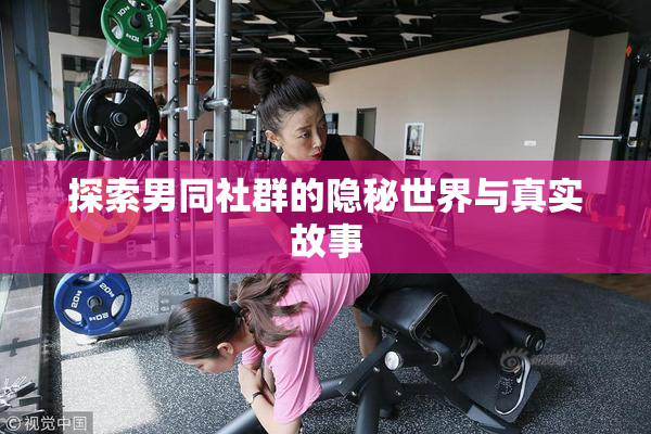 探索男同社群的隐秘世界与真实故事