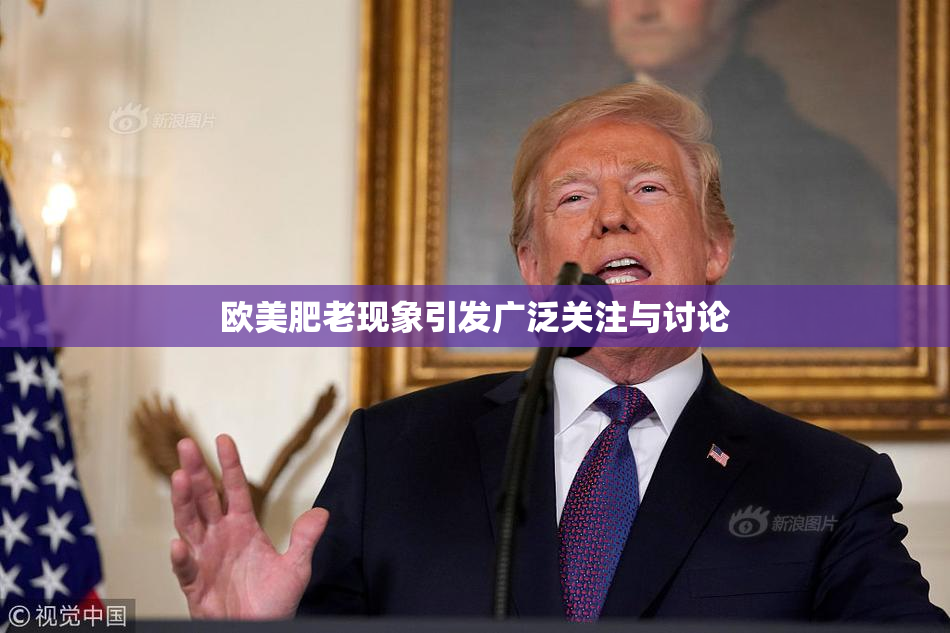 欧美肥老现象引发广泛关注与讨论