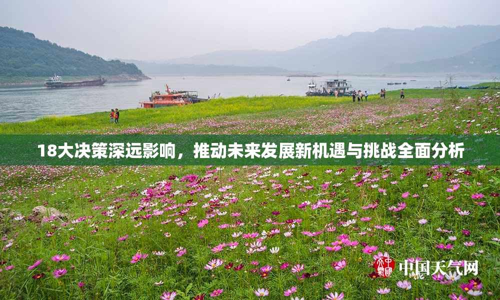 18大决策深远影响，推动未来发展新机遇与挑战全面分析