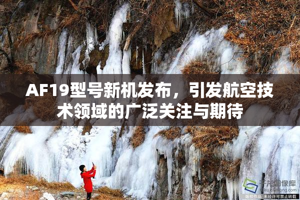 AF19型号新机发布，引发航空技术领域的广泛关注与期待