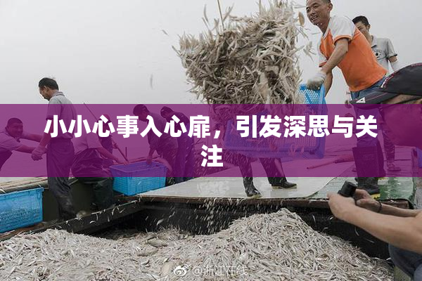 小小心事入心扉，引发深思与关注
