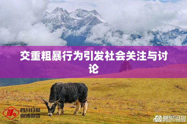 交重粗暴行为引发社会关注与讨论