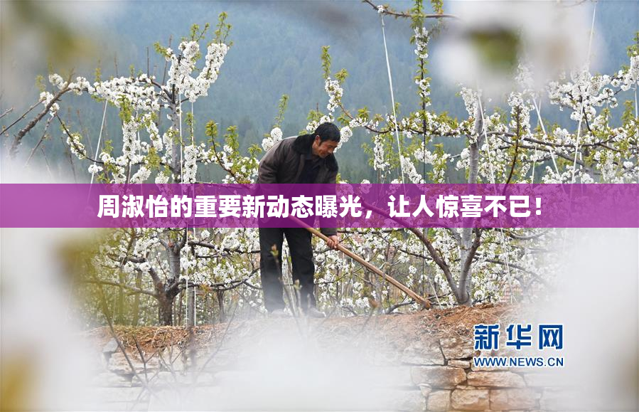 周淑怡的重要新动态曝光，让人惊喜不已！