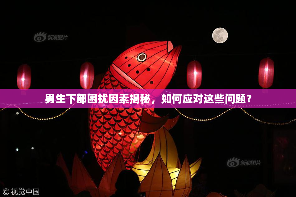 男生下部困扰因素揭秘，如何应对这些问题？
