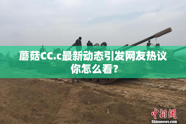 蘑菇CC.c最新动态引发网友热议 你怎么看？