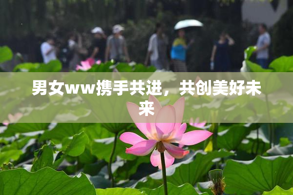男女ww携手共进，共创美好未来