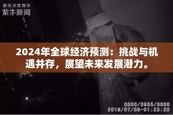 2024年全球经济预测：挑战与机遇并存，展望未来发展潜力。