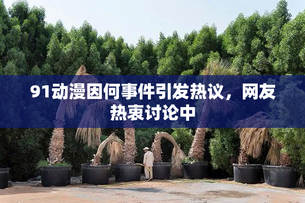 91动漫因何事件引发热议，网友热衷讨论中