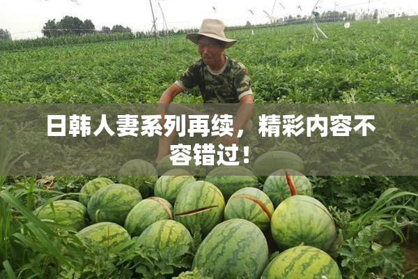 日韩人妻系列再续，精彩内容不容错过！