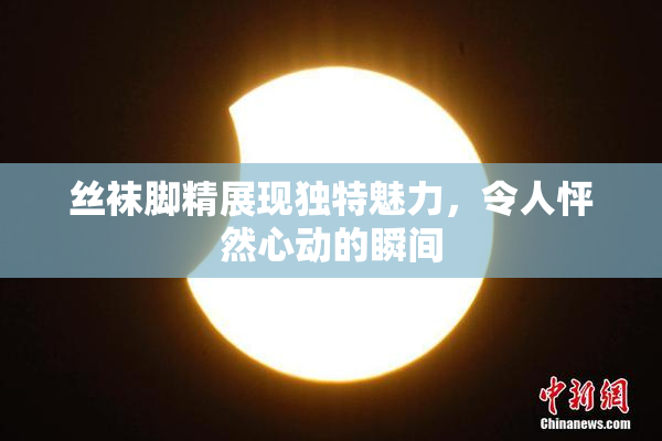 丝袜脚精展现独特魅力，令人怦然心动的瞬间