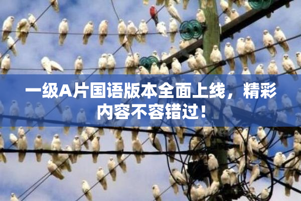 一级A片国语版本全面上线，精彩内容不容错过！