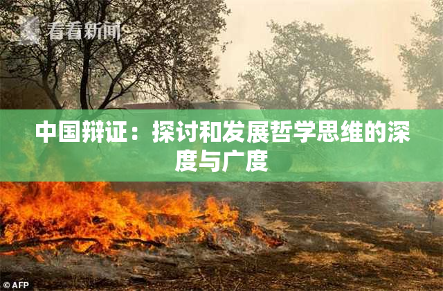 中国辩证：探讨和发展哲学思维的深度与广度