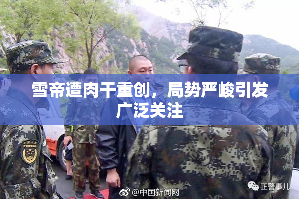雪帝遭肉干重创，局势严峻引发广泛关注