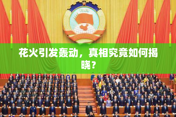 花火引发轰动，真相究竟如何揭晓？