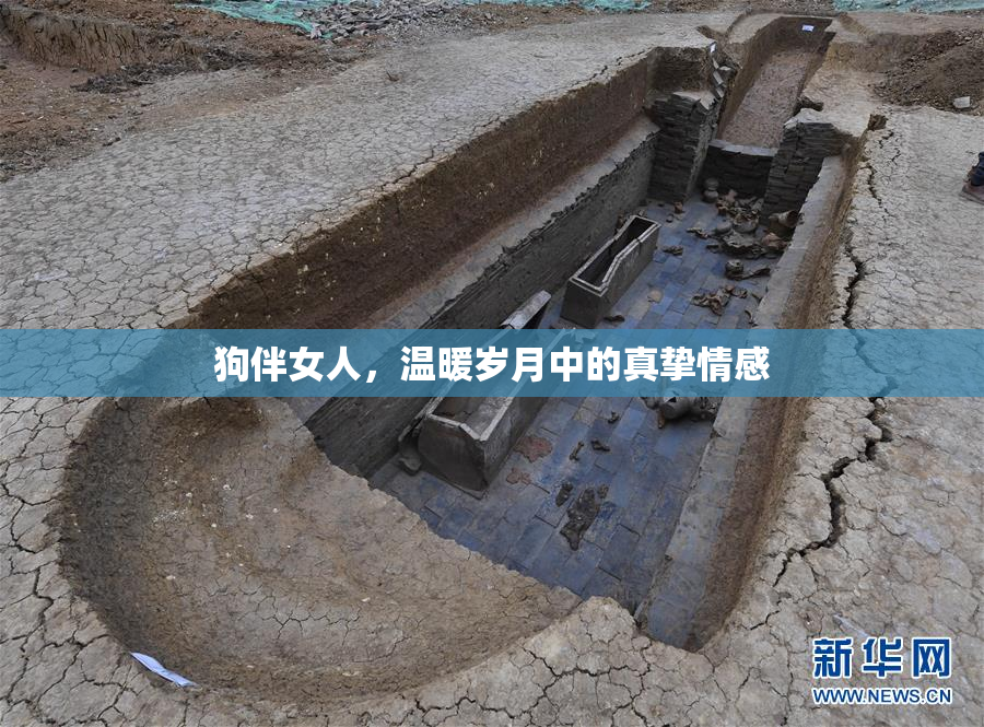 狗伴女人，温暖岁月中的真挚情感
