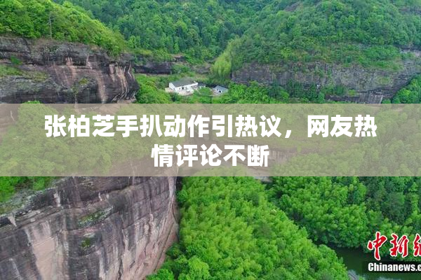 张柏芝手扒动作引热议，网友热情评论不断