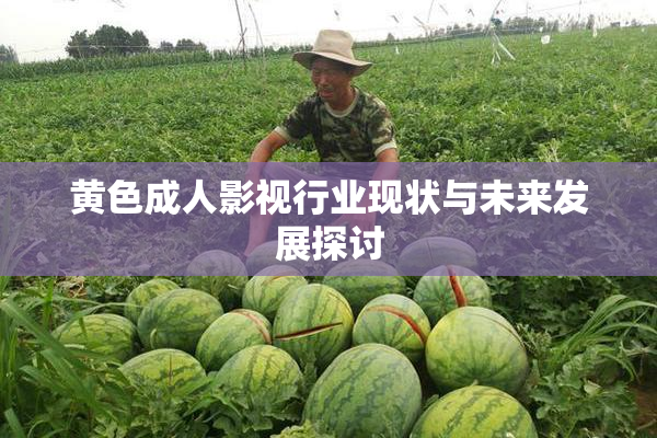 黄色成人影视行业现状与未来发展探讨