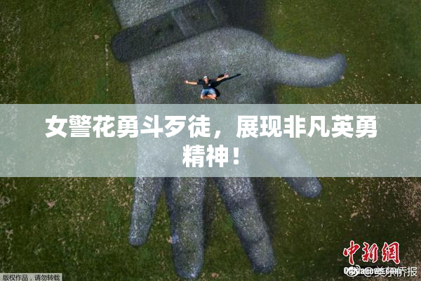 女警花勇斗歹徒，展现非凡英勇精神！