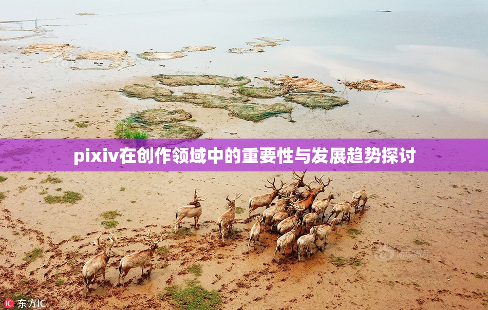 pixiv在创作领域中的重要性与发展趋势探讨