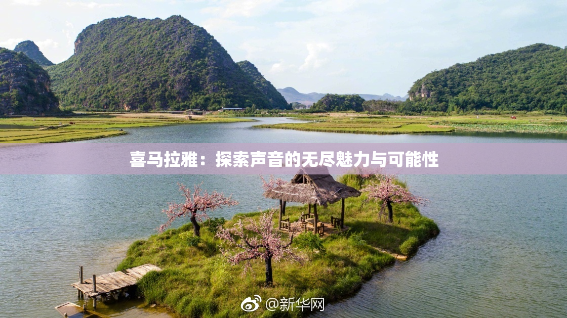 喜马拉雅：探索声音的无尽魅力与可能性