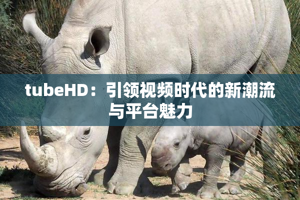 tubeHD：引领视频时代的新潮流与平台魅力