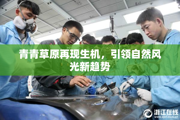 青青草原再现生机，引领自然风光新趋势