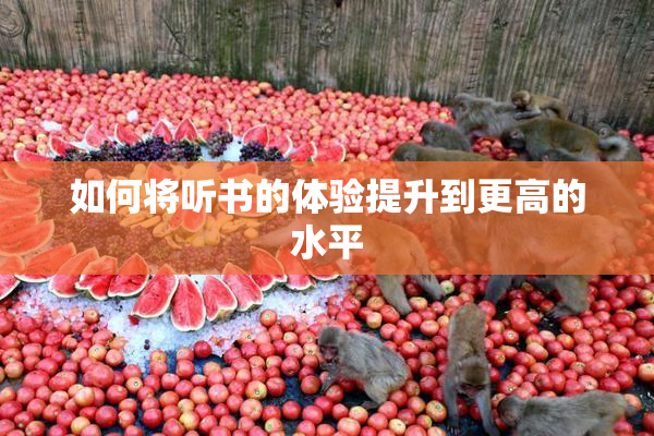 如何将听书的体验提升到更高的水平