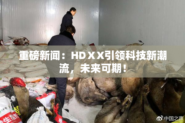 重磅新闻：HDⅩX引领科技新潮流，未来可期！
