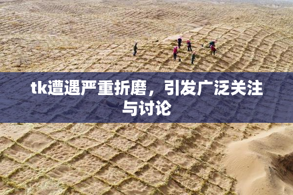 tk遭遇严重折磨，引发广泛关注与讨论