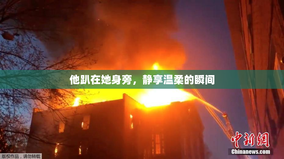 他趴在她身旁，静享温柔的瞬间