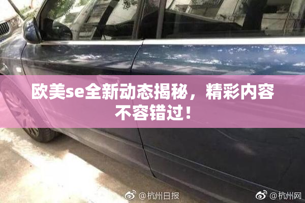 欧美se全新动态揭秘，精彩内容不容错过！
