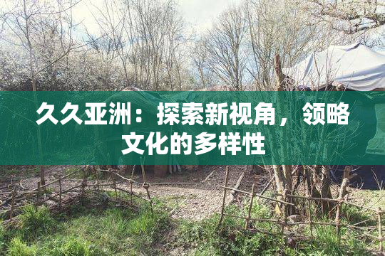 久久亚洲：探索新视角，领略文化的多样性