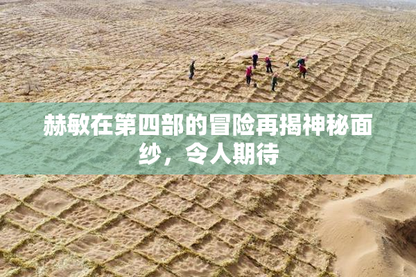 赫敏在第四部的冒险再揭神秘面纱，令人期待