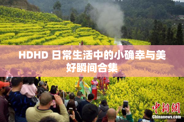 HDHD 日常生活中的小确幸与美好瞬间合集