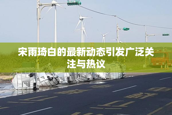 宋雨琦白的最新动态引发广泛关注与热议
