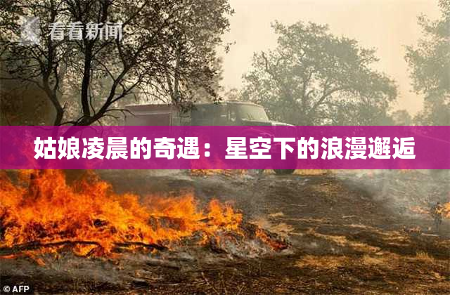姑娘凌晨的奇遇：星空下的浪漫邂逅