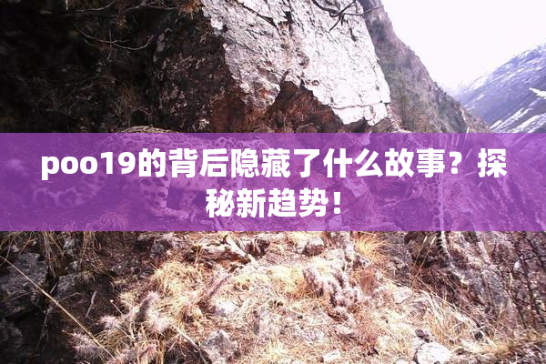 poo19的背后隐藏了什么故事？探秘新趋势！