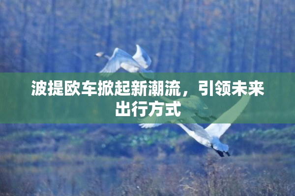 波提欧车掀起新潮流，引领未来出行方式