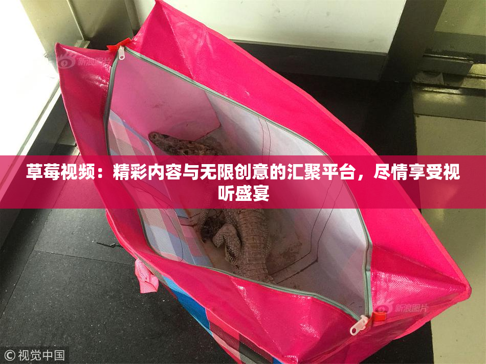 草莓视频：精彩内容与无限创意的汇聚平台，尽情享受视听盛宴