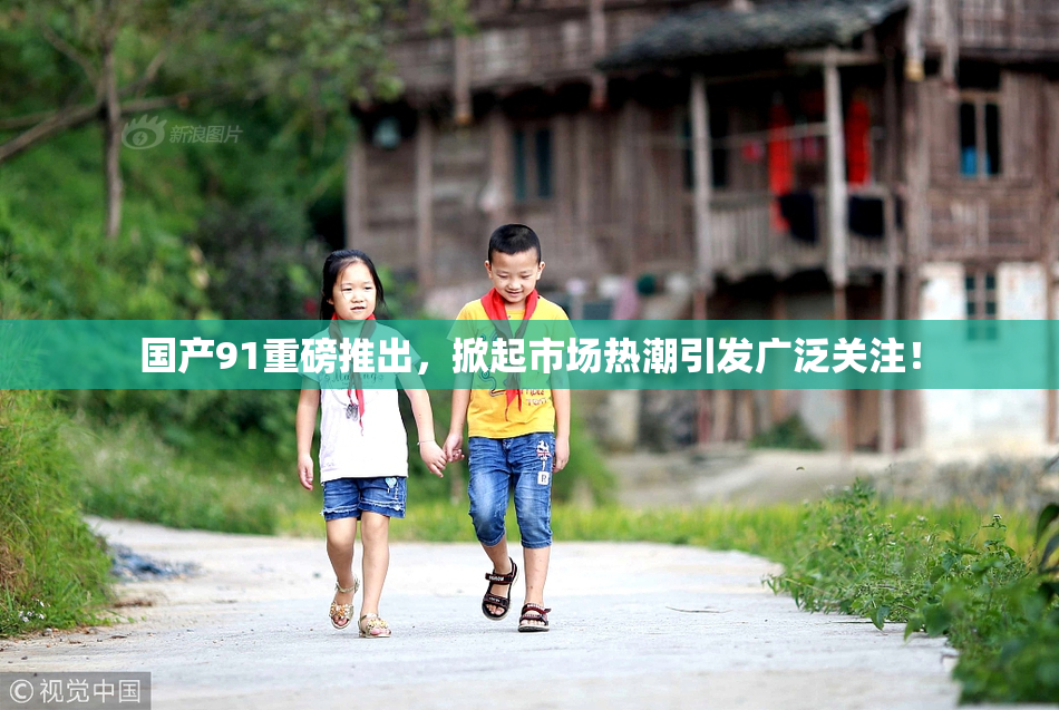 国产91重磅推出，掀起市场热潮引发广泛关注！
