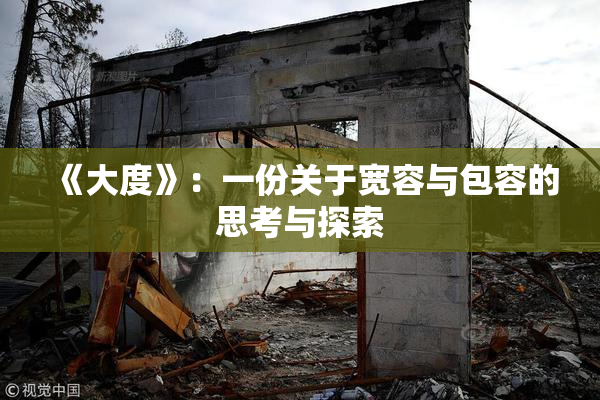 《大度》：一份关于宽容与包容的思考与探索