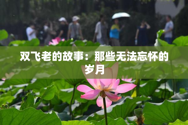 双飞老的故事：那些无法忘怀的岁月