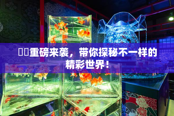 妺妺重磅来袭，带你探秘不一样的精彩世界！